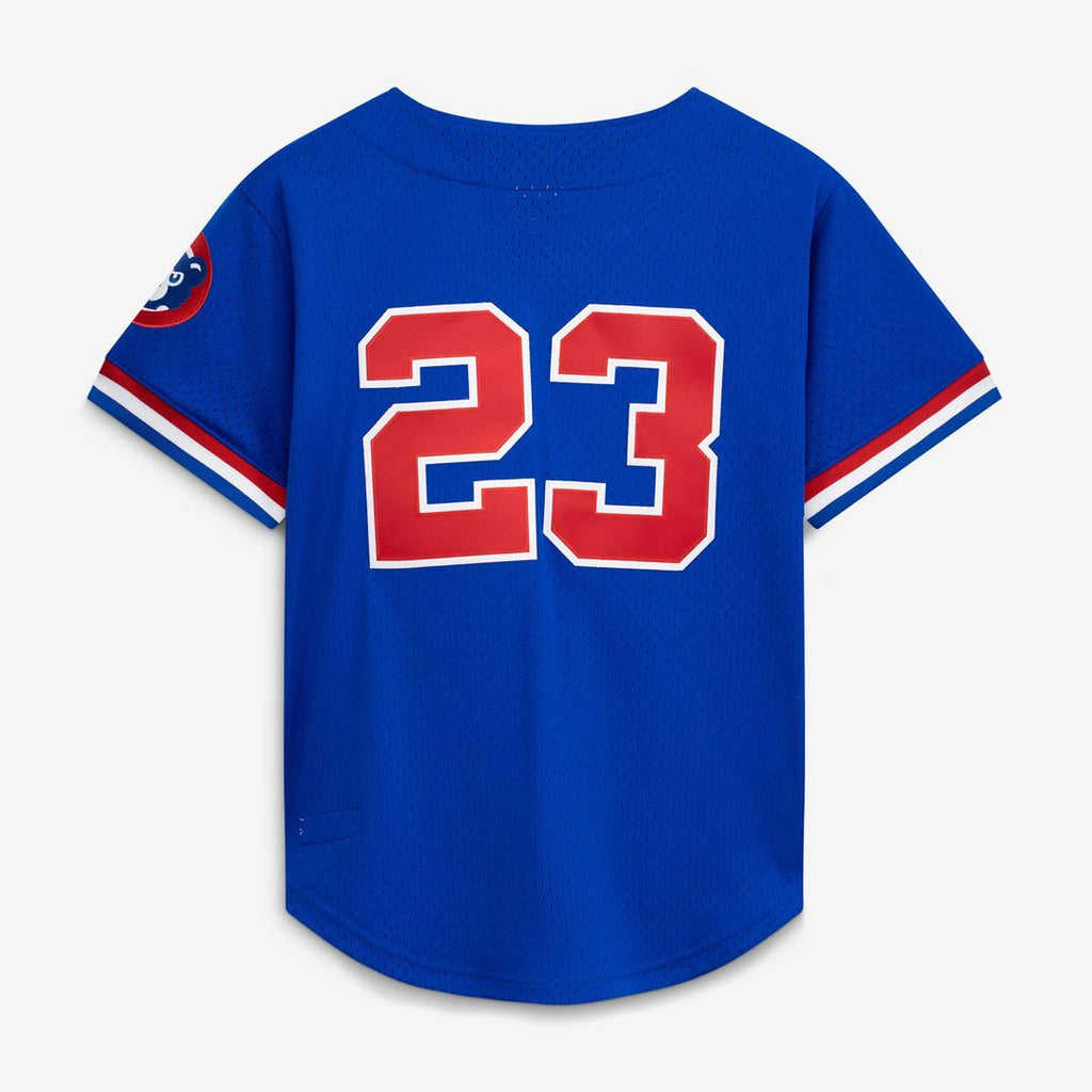 Men's Chicago Cubs Ryne Sandberg Royal Cooperstown Collection 1996 Mesh Batting Practice Button-Up MLB Baseball Jersey - view 2