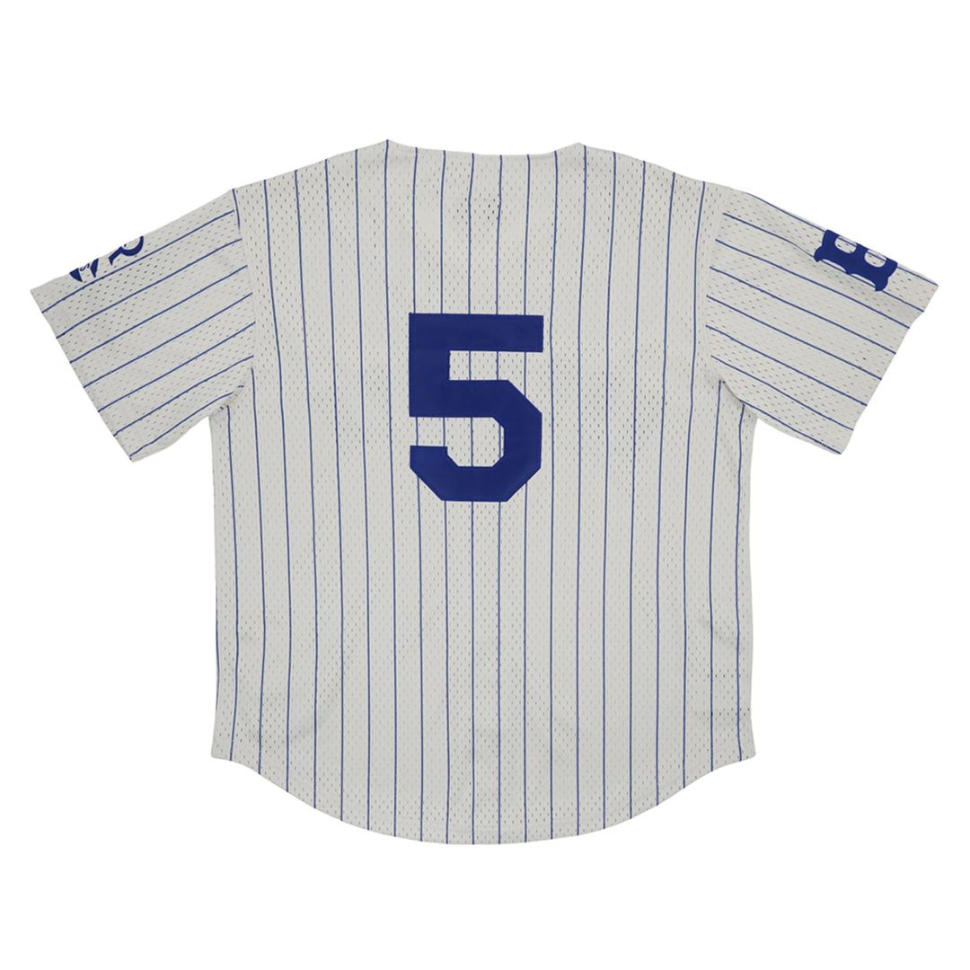 Men's Brooklyn Royal Giants #5 Cream Mesh Button-Down Replica MLB Baseball Jersey - view 3