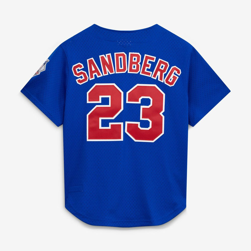 Men's Chicago Cubs Ryne Sandberg Royal Cooperstown Collection 1997 Mesh Batting Practice Button-Up MLB Baseball Jersey - view 2