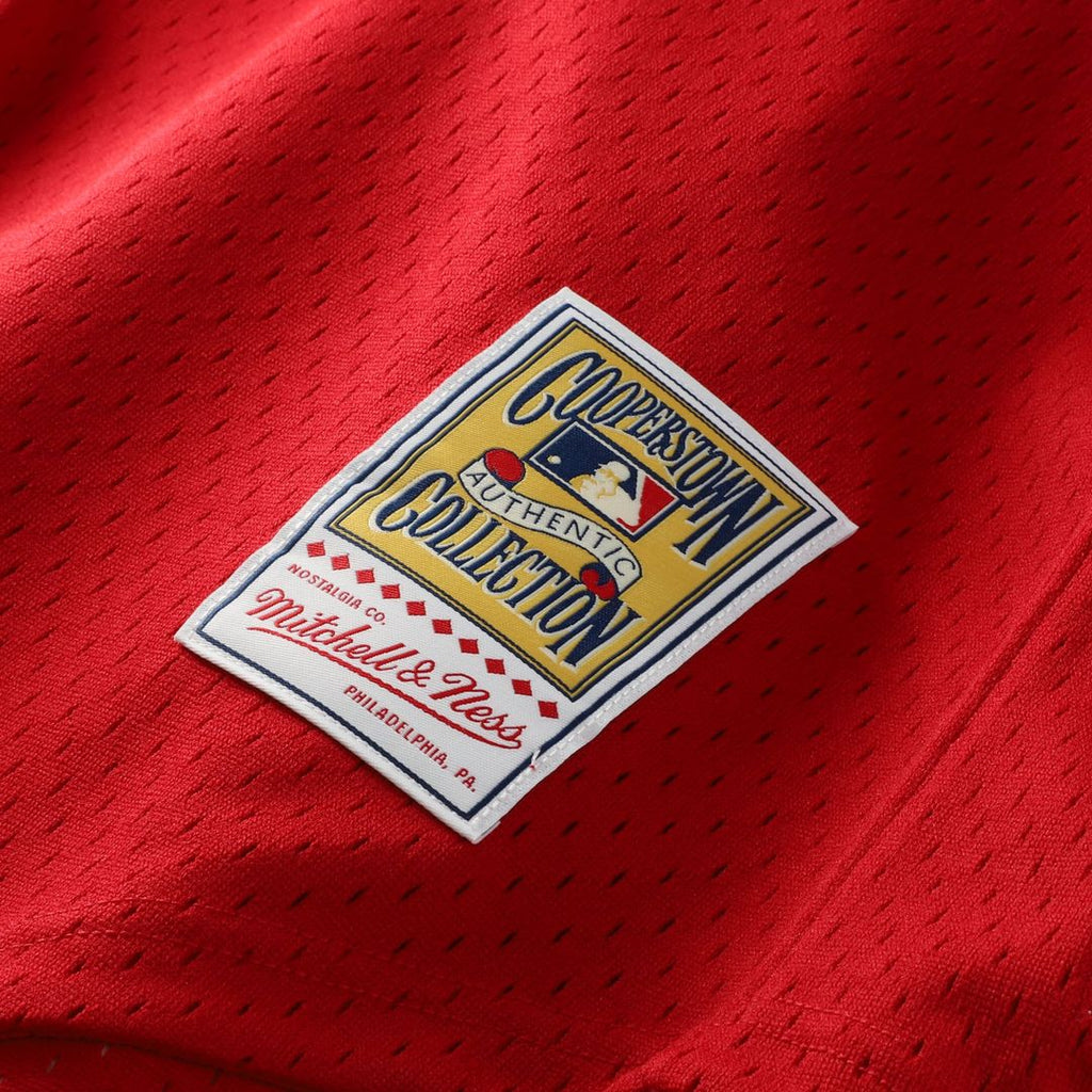 Men's St. Louis Cardinals Ozzie Smith Scarlet Batting Practice MLB Baseball Jersey - view 7