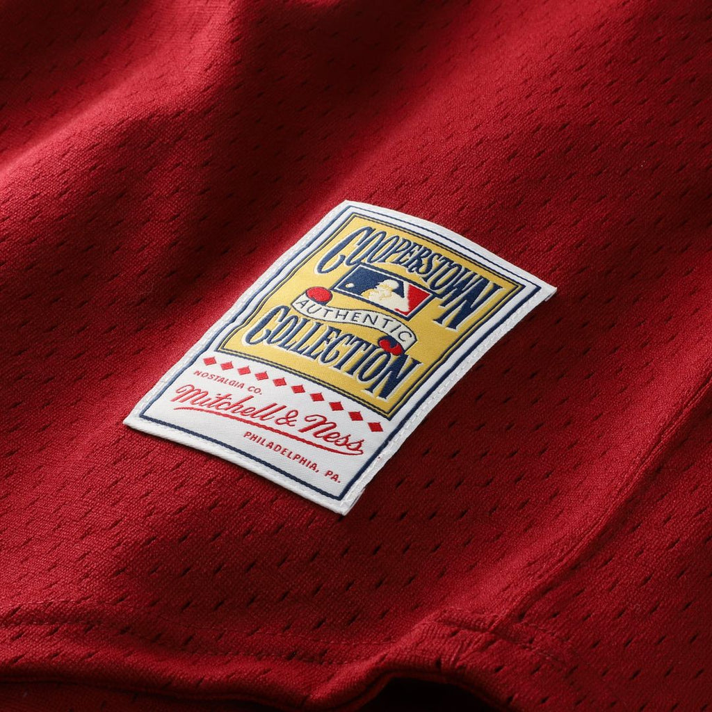 Men's Philadelphia Phillies Darren Daulton Scarlet Batting Practice MLB Baseball Jersey - view 7