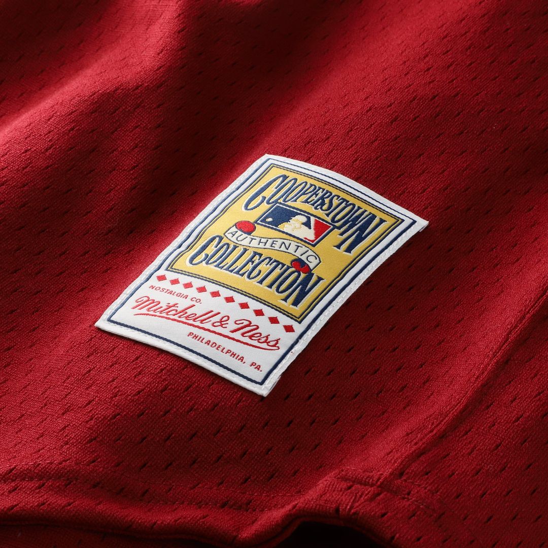 Men's Philadelphia Phillies Darren Daulton Scarlet Batting Practice MLB Baseball Jersey - view 7